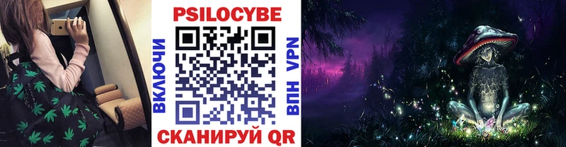 гидра ссылка  Канаш  Псилоцибиновые грибы Magic Shrooms 