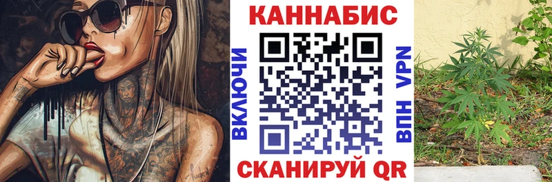 купить наркотик Канаш Бошки Шишки семена